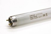 Лампа люминисцентная "OSRAM" ЛБ-18 G13 